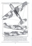 P-40 Camoflage pattern - resized 800.jpg