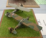 6_Pair of Auster birddogs_7523.JPG