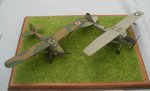 6_Pair of Auster Birddogs_7521.JPG