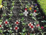 Armistice 11 022.jpg