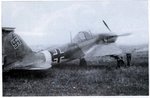 strurmgerman.jpg