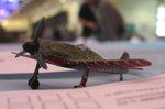 12_Fw190D-9_red 1_4924.jpg