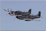 z5u8096.jpg