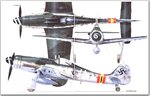 fw190_d9667.jpg