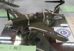 1_Kittyhawk Mk.III_7793.JPG