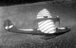 Cant Z501 Gabbiano 007.jpg