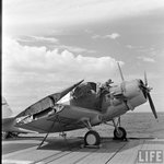 Douglas TBD Devastator 0015.jpg