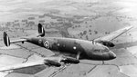 albatross-08.jpg