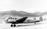 martinet-10.jpg