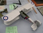 4_Swordfish_7819.jpg
