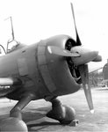 Curtiss SC Seahawk 003.jpg
