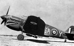 Kittyhawk Mk I RAF 112 Sqn Pic 2.jpg