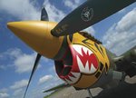 p-40k401WH%20Curtiss%20P-40K%20Nose%20by%20Greg%20Morehead_lrg.jpg