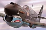 RayP-40Houston1S.jpg