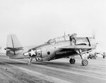 Grumman TBM Avenger 009.jpg
