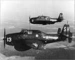 Grumman TBM Avenger 006.jpg