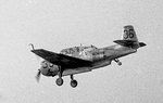 Grumman TBM Avenger 0013.jpg