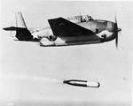 Grumman TBM Avenger 0018.jpg