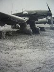 Junkers Ju-87 Stuka 008.jpg