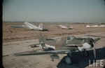 Northrop A-13.jpg