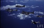Douglas SBD Dauntless 0013.jpg