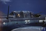 Douglas SBD Dauntless 002.jpg