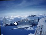 Douglas SBD Dauntless 004.jpg