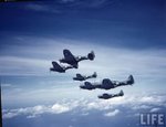 Douglas SBD Dauntless 005.jpg