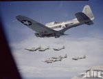 Douglas SBD Dauntless 007.jpg