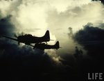 Douglas SBD Dauntless 008.jpg