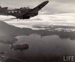 Douglas SBD Dauntless 002.jpg
