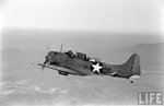 Douglas SBD Dauntless 0012.jpg