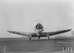 Douglas SBD Dauntless 0013.jpg