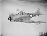 Douglas SBD Dauntless 0018.jpg