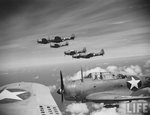 Douglas SBD Dauntless 0019.jpg