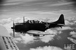 Douglas SBD Dauntless 0022.jpg