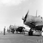 Douglas SBD Dauntless 0025.jpg