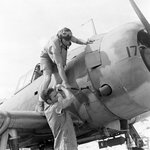 Douglas SBD Dauntless 0028.jpg