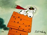 snoopy-red-baron.jpg