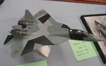 4_Sukhoi T-50_7993.jpg