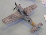 1_Fw190F-8_5074.JPG