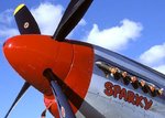 mustang1b_145.jpg