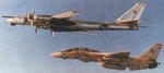 a_ghostriders_tomcat_escorts_a_bear_away_from_a_usn_exercise_206.jpg