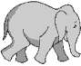 animated_elephant_183.gif