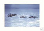 p-51_d_formation_541.jpg