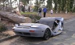tree_meets_car_accident_237.jpg