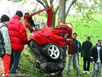 tree_wrap_125.jpg