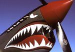 p40warhawk_572.jpg