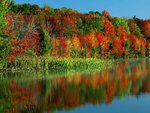 morning_light__horseshoe_lake__adirondack_park_and_preserve__new_york_554.jpg