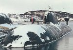 akula_433.jpg